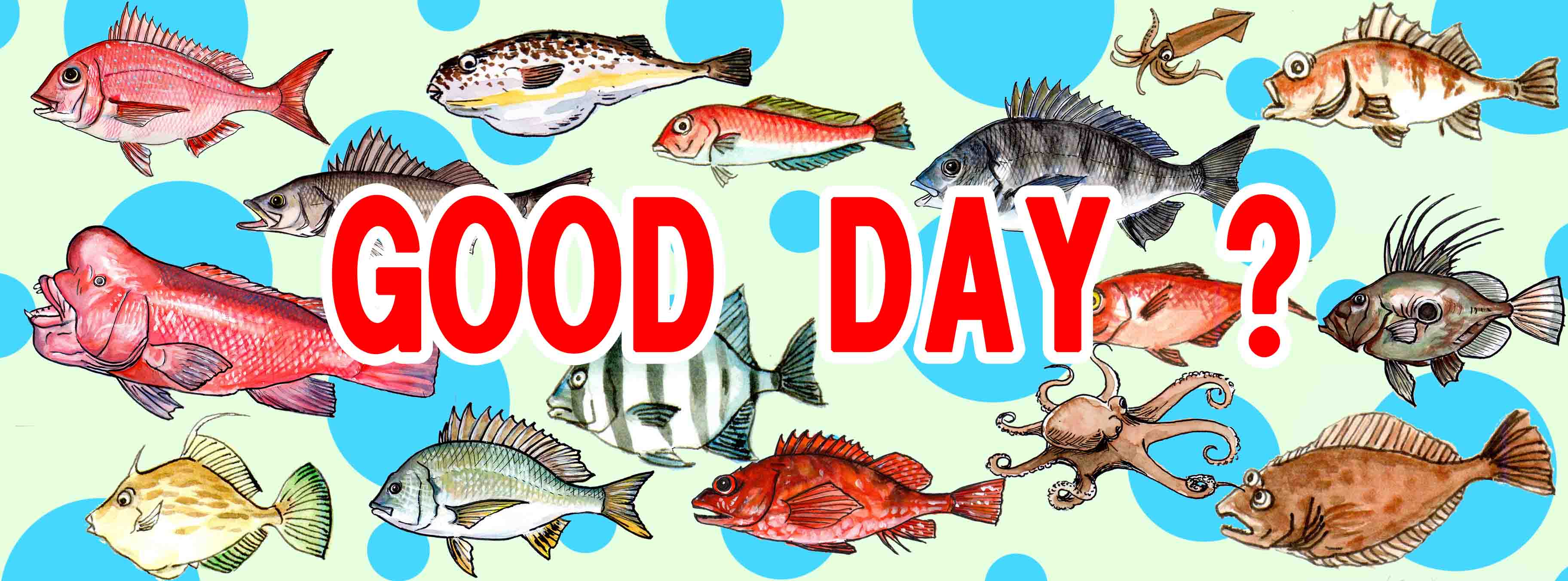魚英語のトップ画像