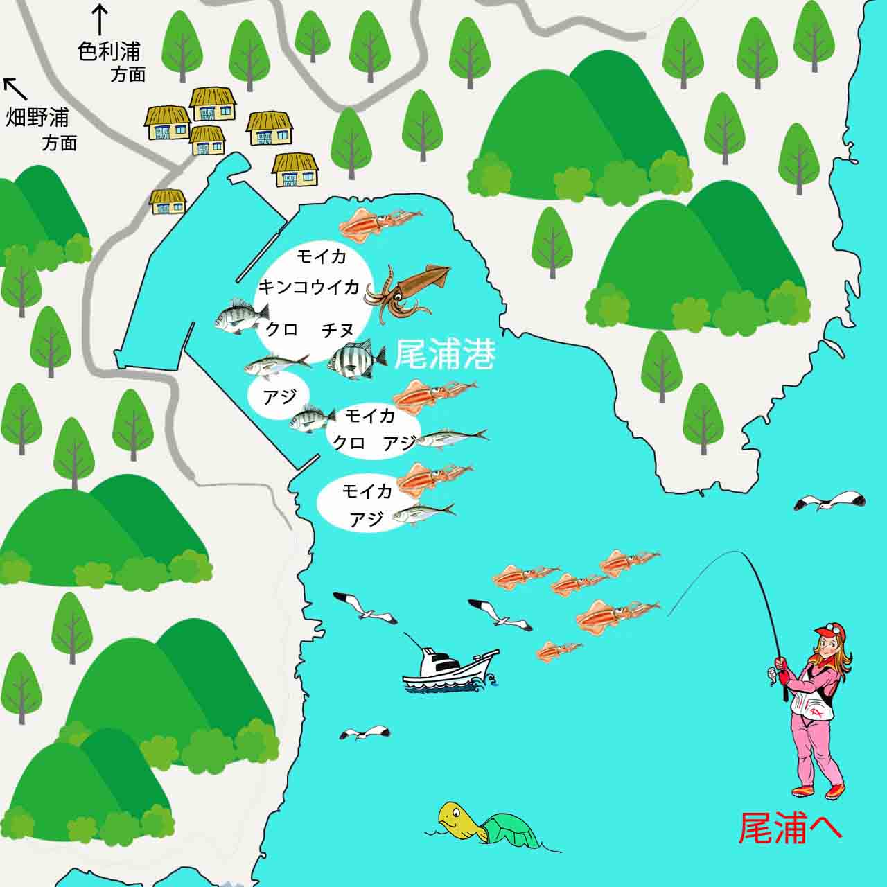 尾浦港