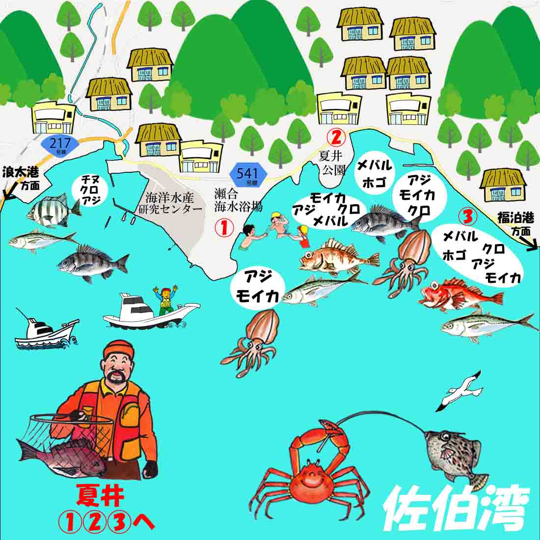 夏井港
