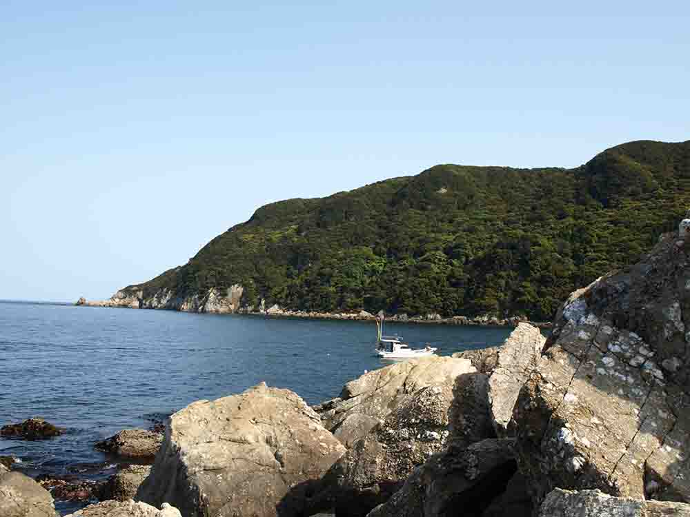 大浜佐伯なら穴場釣り